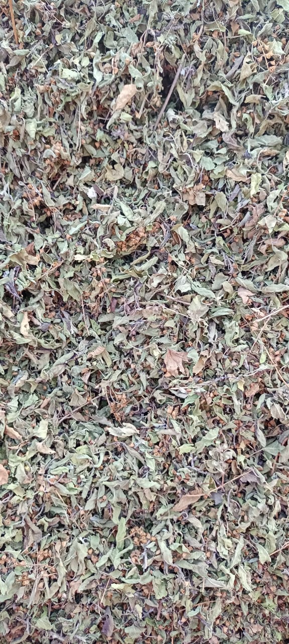 Dried Tulsi Leaf - Organic 